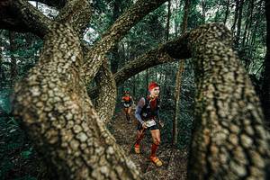 BIB: 
                            <button type="button" onclick="openModal(25394021)" class="btn btn-primary btn-sm float-right btn-popup" data-toggle="modal" data-target=".modal-high-quality">
                        <i class="fas fa-shopping-cart"></i> Add to Cart
                    </button>
                                            <button type="button" onclick="isThisMe(25394021, true)" class="btn btn-success btn-sm float-right btn-popup btn-isme hidden" data-toggle="tooltip" data-placement="bottom" title="นี่คือรูปของคุณใช่ไหม คลิกที่นี่เพื่อเอาเข้าอัลบั้ม">
                        <i class="fas fa-plus"></i> Add to album
                    </button>
                    <button type="button" onclick="isThisMe(25394021, false)" class="btn btn-warning btn-sm float-right btn-popup btn-isnotme hidden">
                        <i class="fas fa-ban"></i> Remove from album
                    </button>